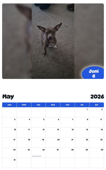 2026 - 2027 Juni B - Pawidols Pet Calendar