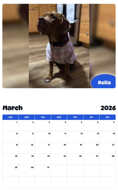 November 2025 - October 2026 Bella - Pawidols Pet Calendar
