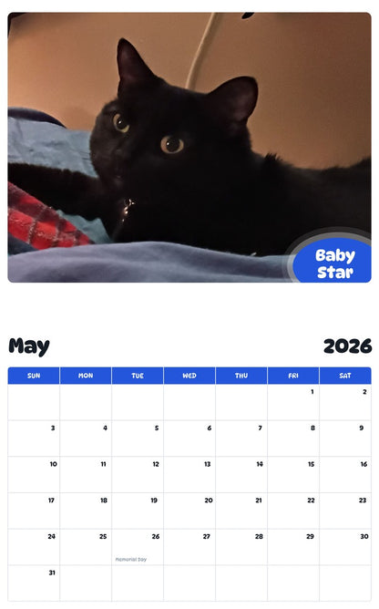 2026 - 2027 Baby Star - Pawidols Pet Calendar