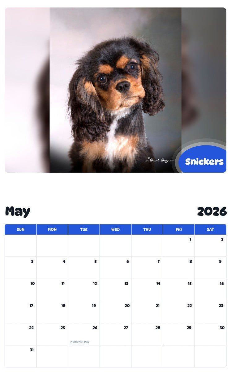 2026 - 2027 Snickers - Pawidols Pet Calendar
