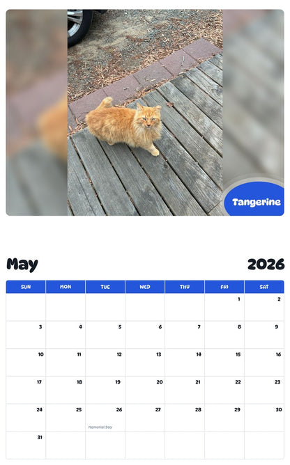 2026 - 2027 Tangerine - Pawidols Pet Calendar