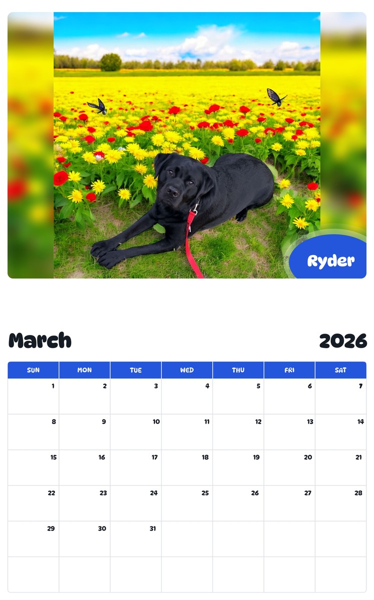 November 2025 - October 2026 Ryder - Pawidols Pet Calendar