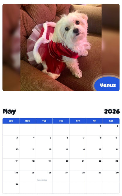 2026 - 2027 Venus - Pawidols Pet Calendar