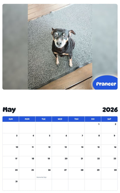 2026 - 2027 Prancer - Pawidols Pet Calendar