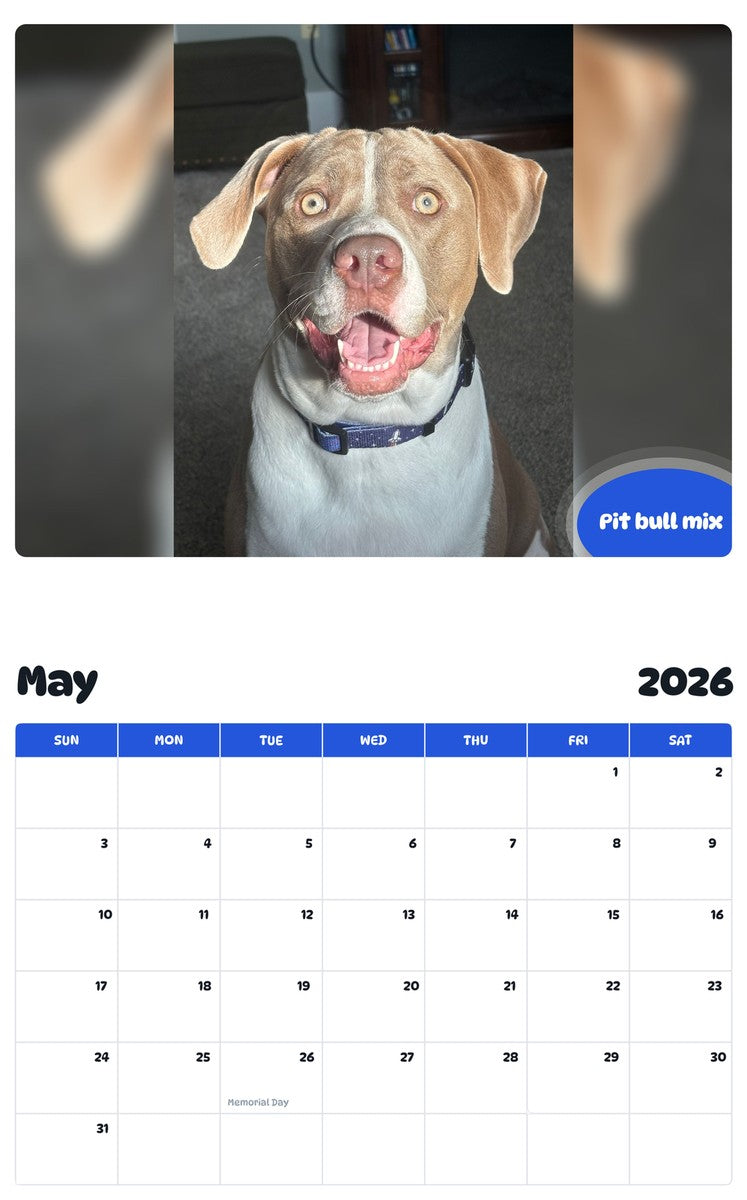 2026 - 2027 Pit bull mix - Pawidols Pet Calendar