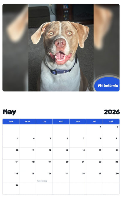 2026 - 2027 Pit bull mix - Pawidols Pet Calendar