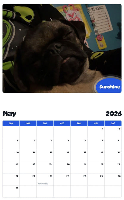 2026 - 2027 Sunshine - Pawidols Pet Calendar