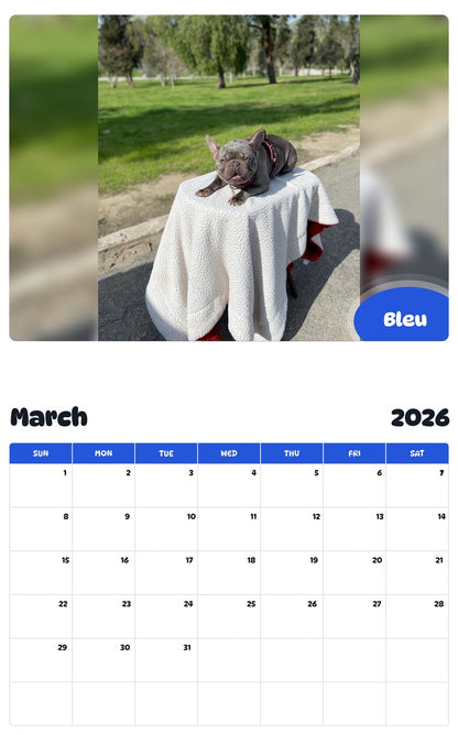 November 2025 - October 2026 Bleu - Pawidols Pet Calendar