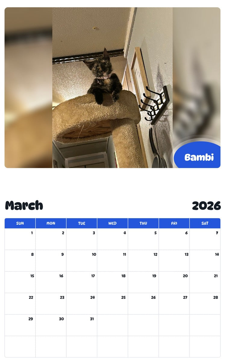 November 2025 - October 2026 Bambi - Pawidols Pet Calendar