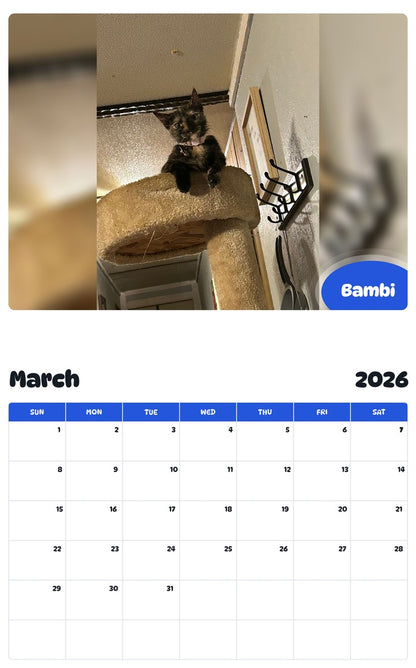 November 2025 - October 2026 Bambi - Pawidols Pet Calendar