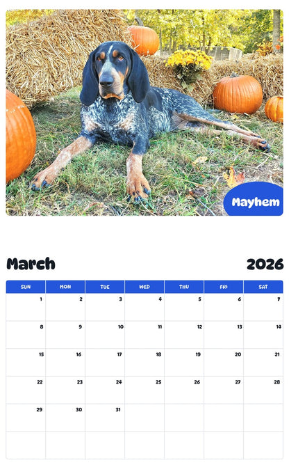 November 2025 - October 2026 Mayhem - Pawidols Pet Calendar