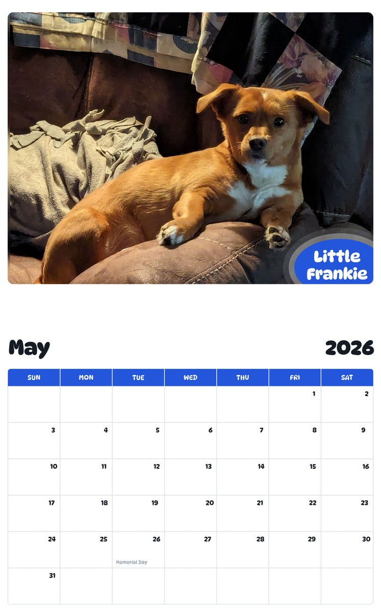 2026 - 2027 Little Frankie - Pawidols Pet Calendar