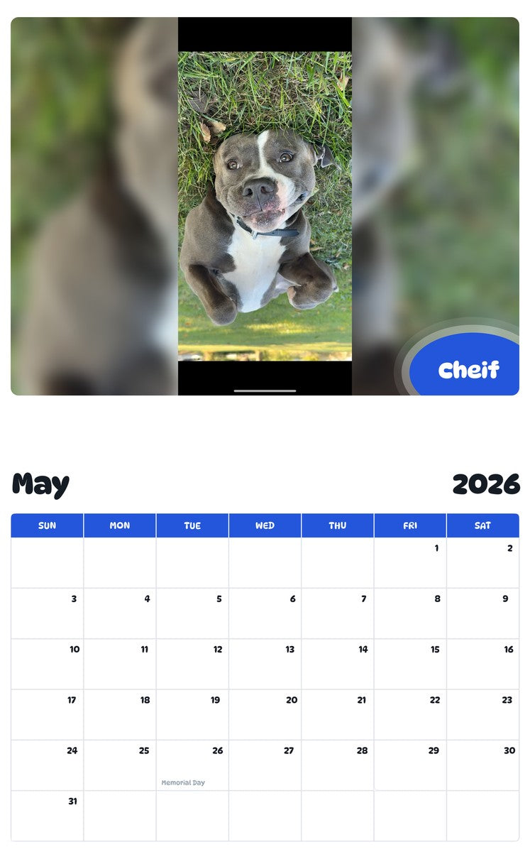 2026 - 2027 Cheif - Pawidols Pet Calendar