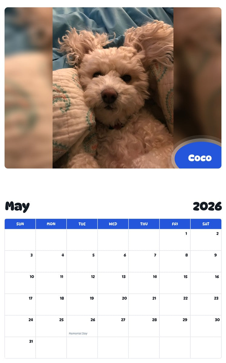 2026 - 2027 Coco - Pawidols Pet Calendar