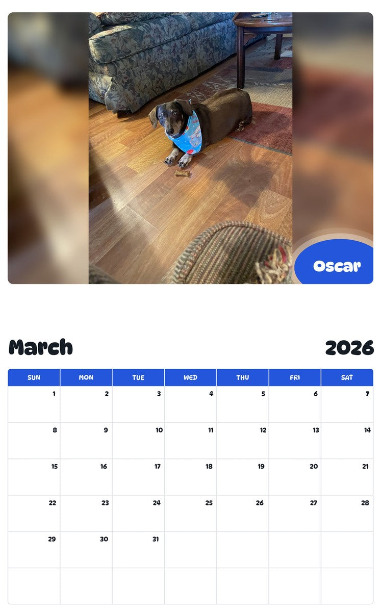 November 2025 - October 2026 Oscar - Pawidols Pet Calendar