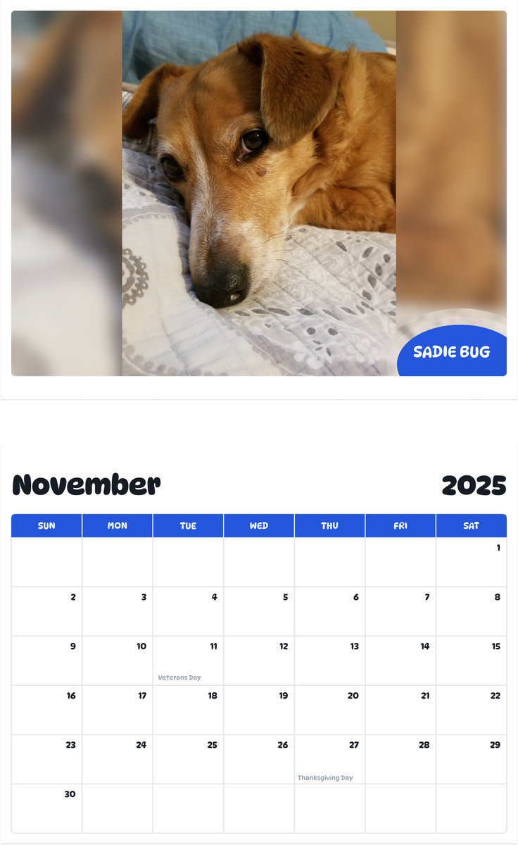 July 2025 - June 2026 Sadie Bug - Pawidols Pet Calendar