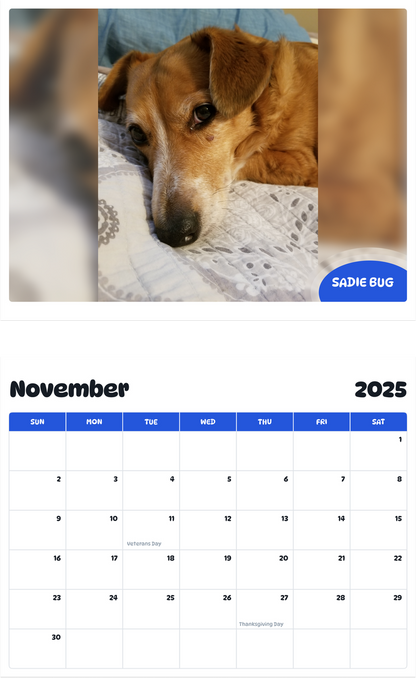 July 2025 - June 2026 Sadie Bug - Pawidols Pet Calendar
