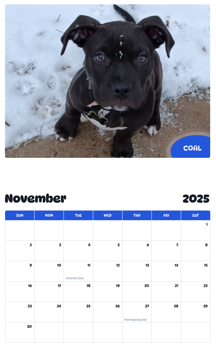July 2025 - June 2026 Coal - Pawidols Pet Calendar