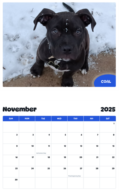 July 2025 - June 2026 Coal - Pawidols Pet Calendar