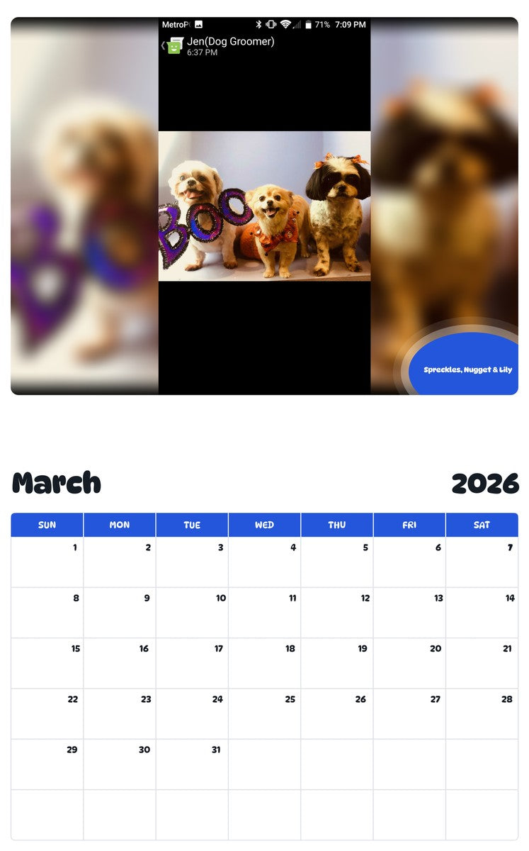 November 2025 - October 2026 Spreckles, Nugget & Lily - Pawidols Pet Calendar