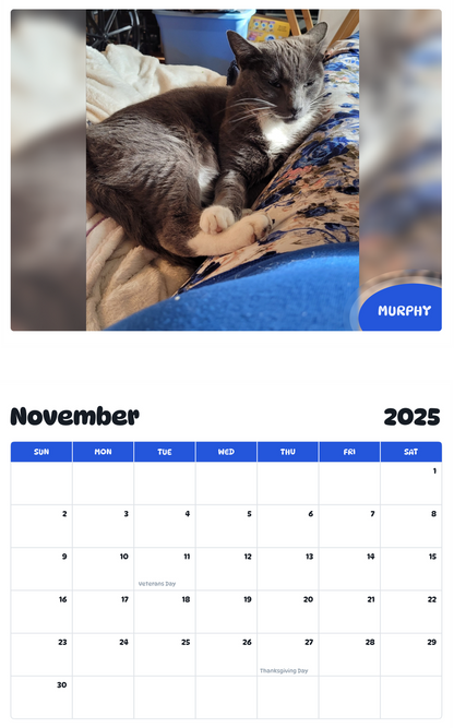 July 2025 - June 2026 Murphy - Pawidols Pet Calendar