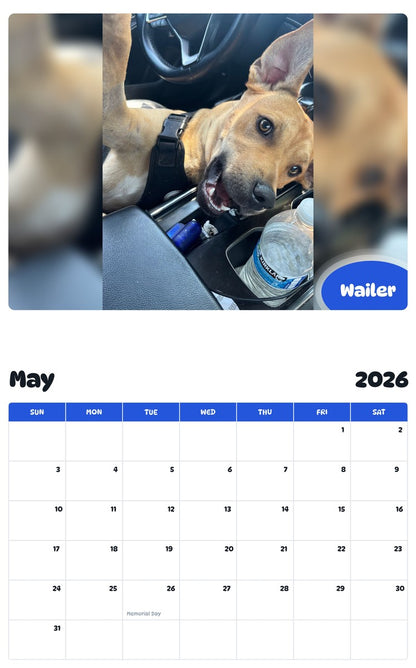 2026 - 2027 Wailer - Pawidols Pet Calendar