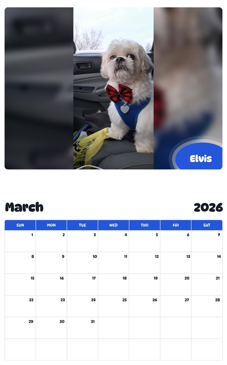 November 2025 - October 2026 Elvis - Pawidols Pet Calendar