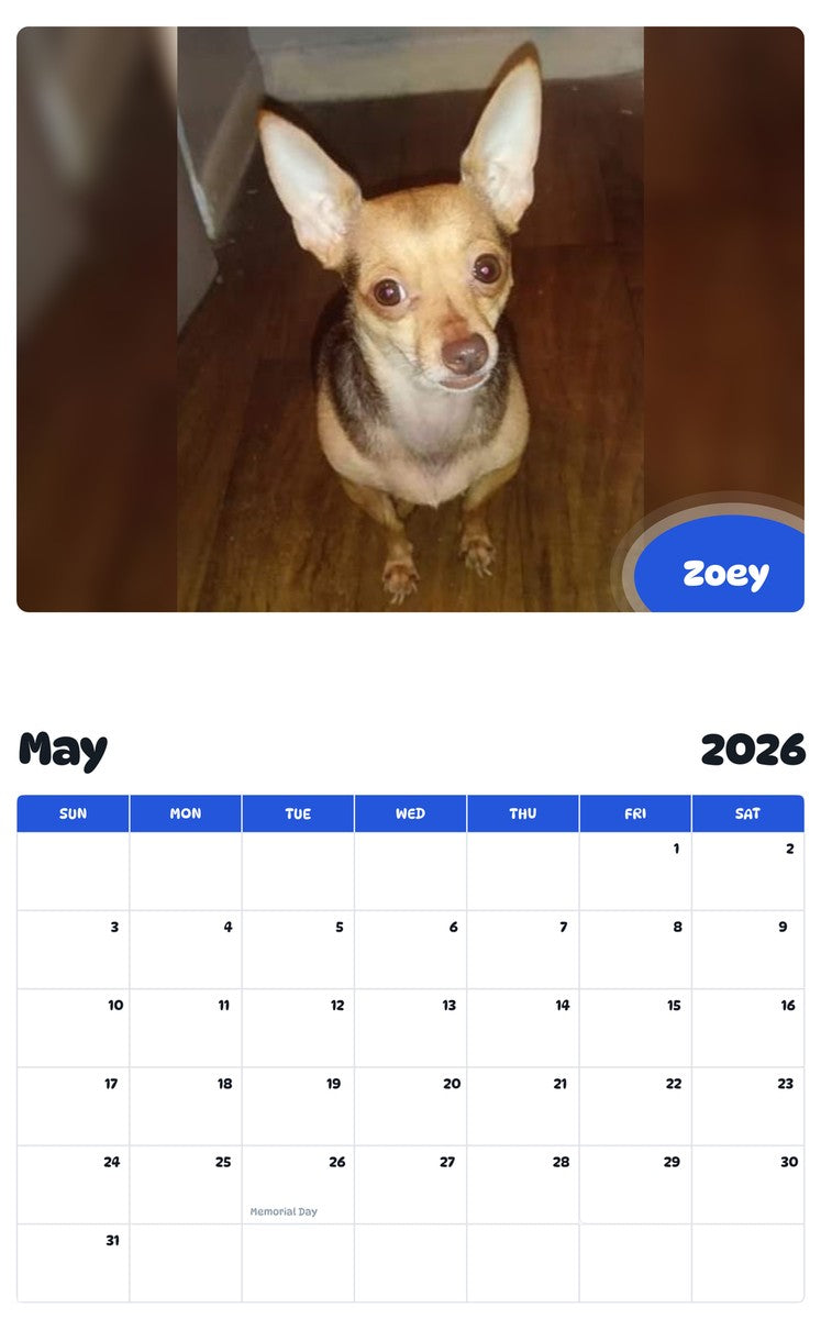 2026 - 2027 Zoey - Pawidols Pet Calendar