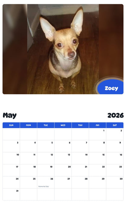 2026 - 2027 Zoey - Pawidols Pet Calendar