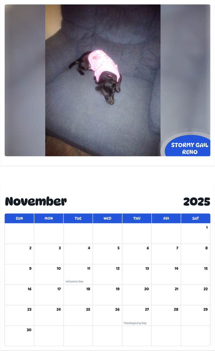 July 2025 - June 2026 Stormy Gail Reno - Pawidols Pet Calendar