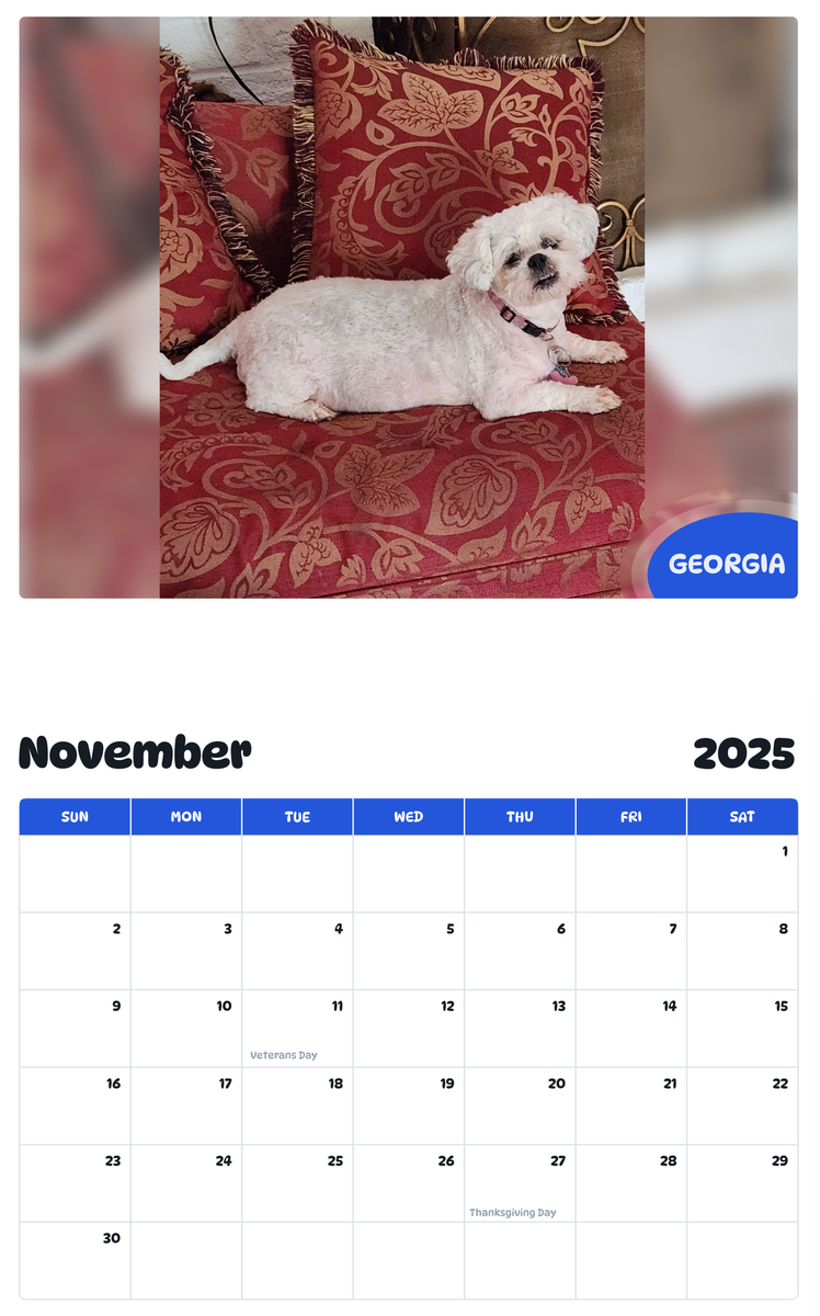 July 2025 - June 2026 Georgia - Pawidols Pet Calendar