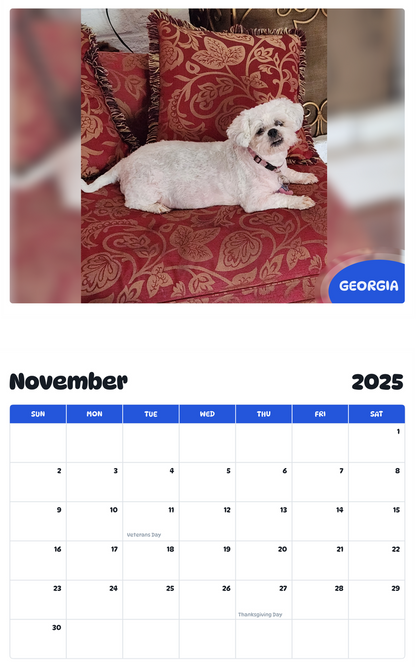 July 2025 - June 2026 Georgia - Pawidols Pet Calendar