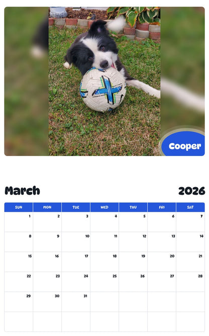 November 2025 - October 2026 Cooper - Pawidols Pet Calendar