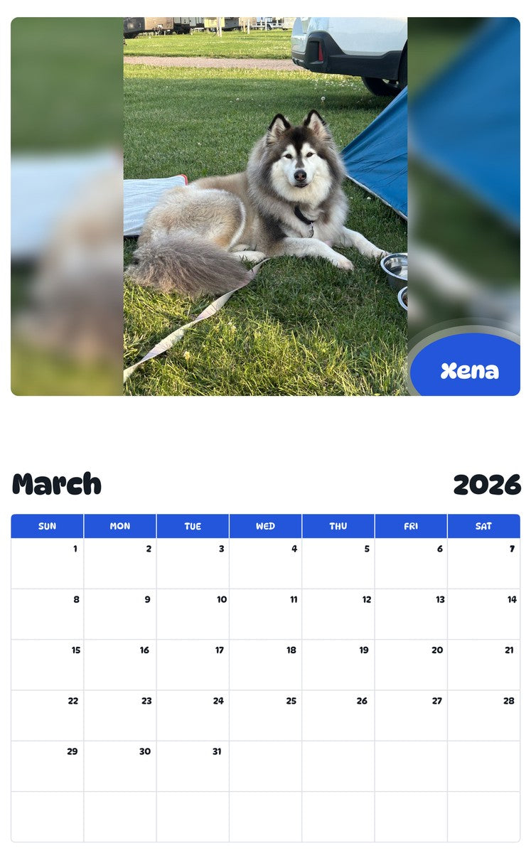 November 2025 - October 2026 Xena - Pawidols Pet Calendar