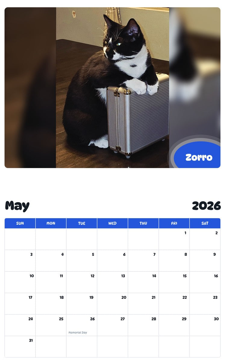 2026 - 2027 Zorro - Pawidols Pet Calendar