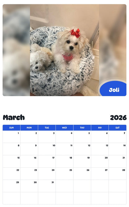 November 2025 - October 2026 Joli - Pawidols Pet Calendar