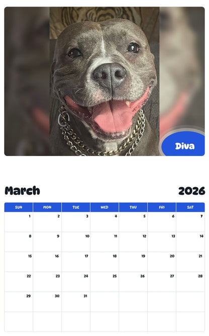 November 2025 - October 2026 Diva - Pawidols Pet Calendar