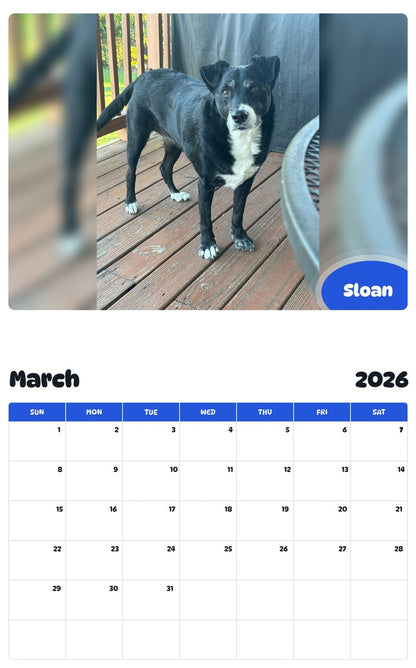 November 2025 - October 2026 Sloan - Pawidols Pet Calendar