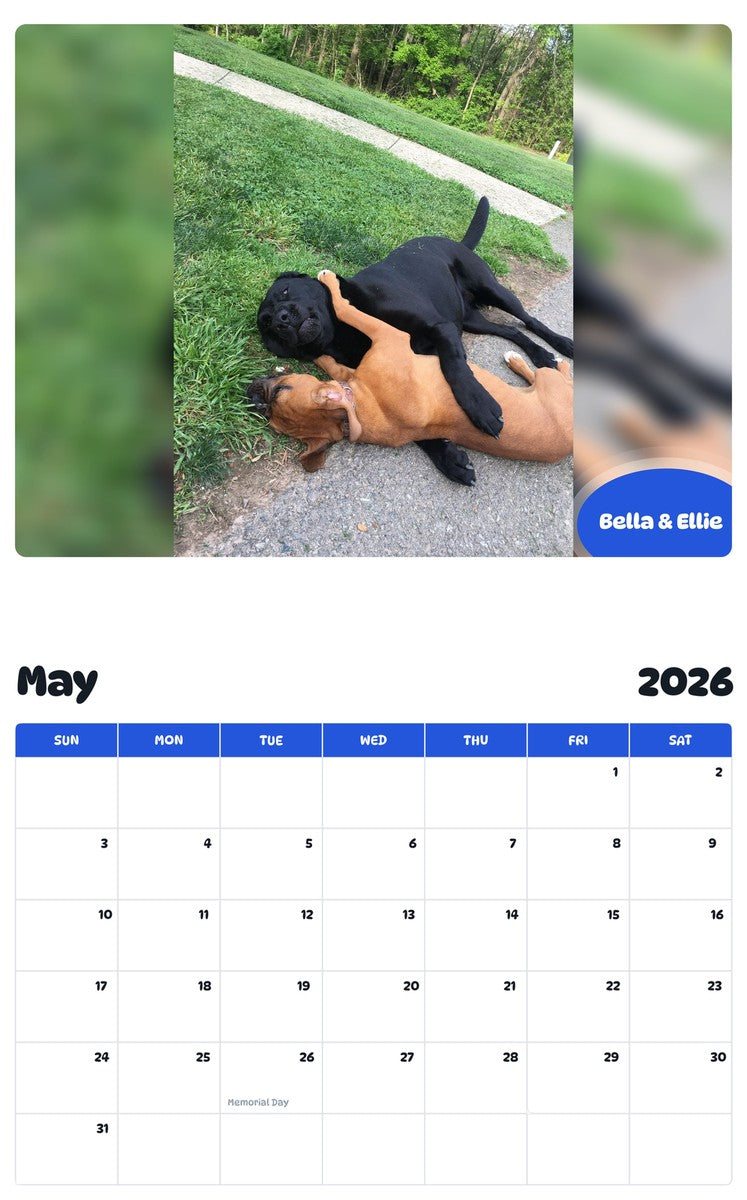 2026 - 2027 Bella & Ellie - Pawidols Pet Calendar