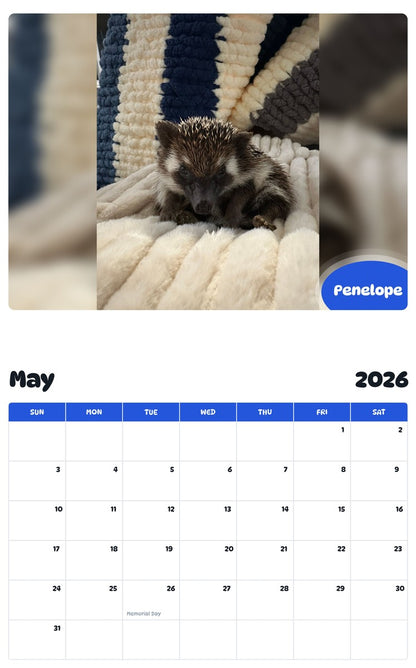 2026 - 2027 Penelope - Pawidols Pet Calendar