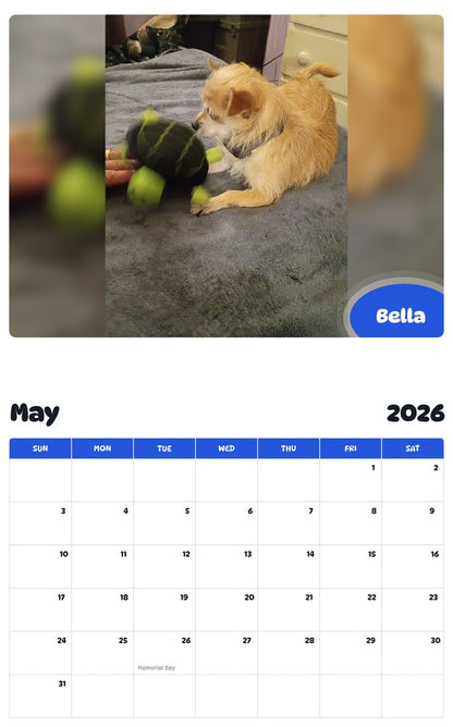 2026 - 2027 Bella - Pawidols Pet Calendar