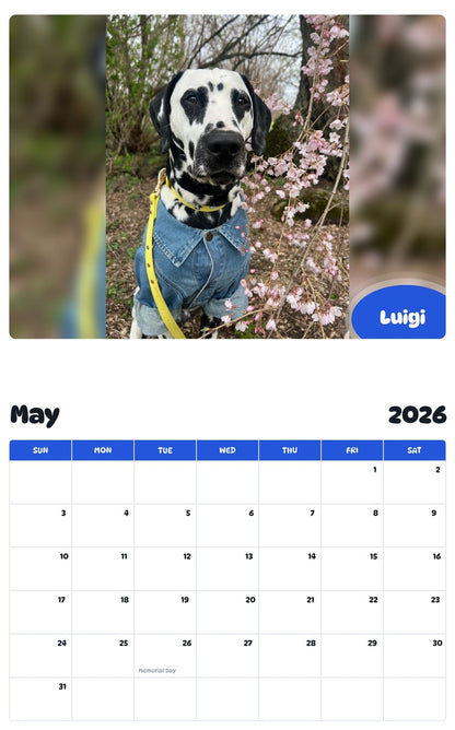 2026 - 2027 Luigi - Pawidols Pet Calendar