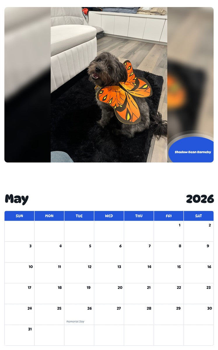 2026 - 2027 Shadow Bean Barneby - Pawidols Pet Calendar