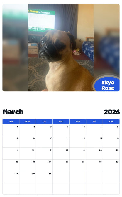 November 2025 - October 2026 Skye Rose - Pawidols Pet Calendar