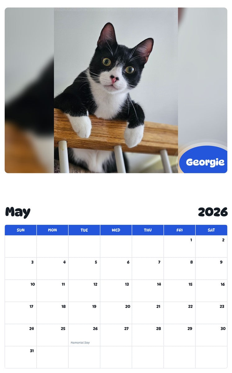 2026 - 2027 Georgie - Pawidols Pet Calendar