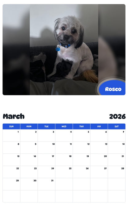 November 2025 - October 2026 Rosco - Pawidols Pet Calendar