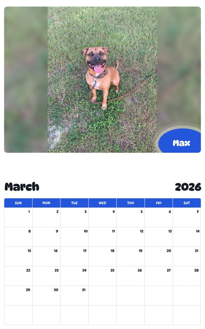 November 2025 - October 2026 Max - Pawidols Pet Calendar