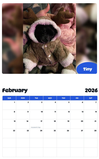 October 2025 - September 2026 Tiny - Pawidols Pet Calendar
