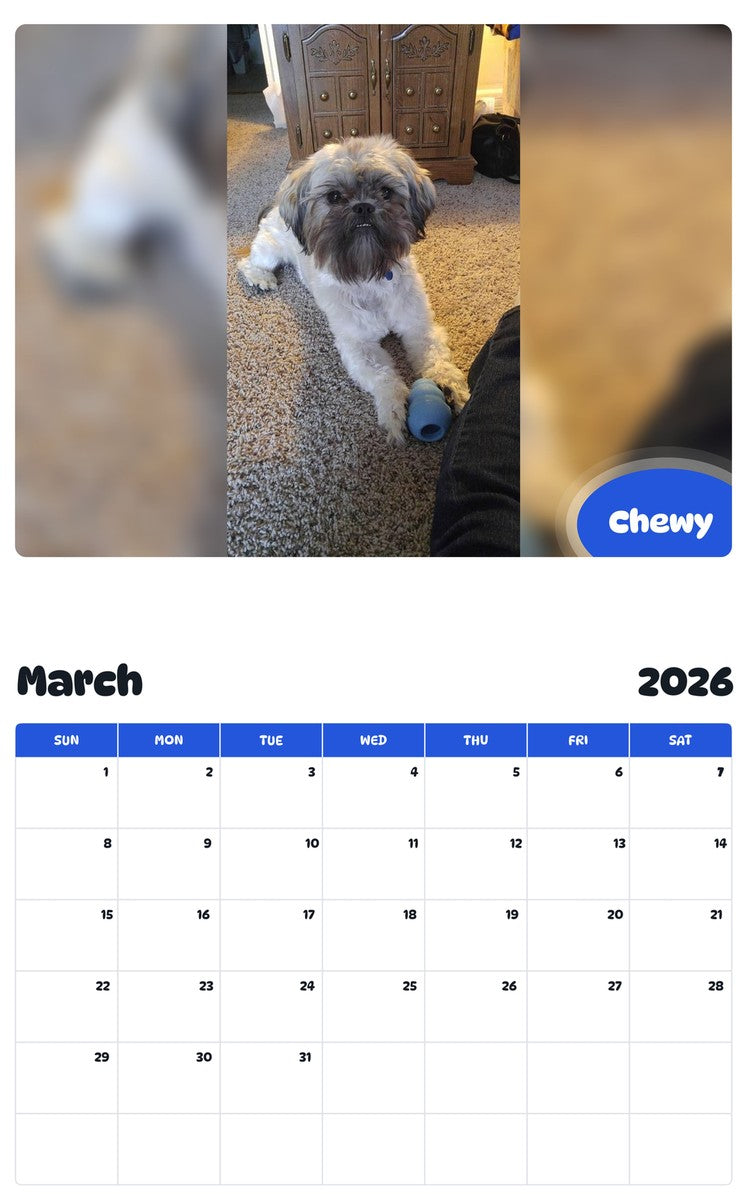 November 2025 - October 2026 Chewy - Pawidols Pet Calendar