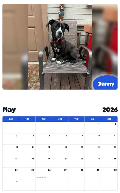 2026 - 2027 Danny - Pawidols Pet Calendar